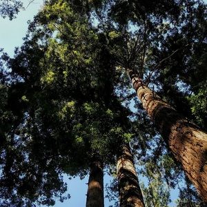 Meet your Posher, Jesse